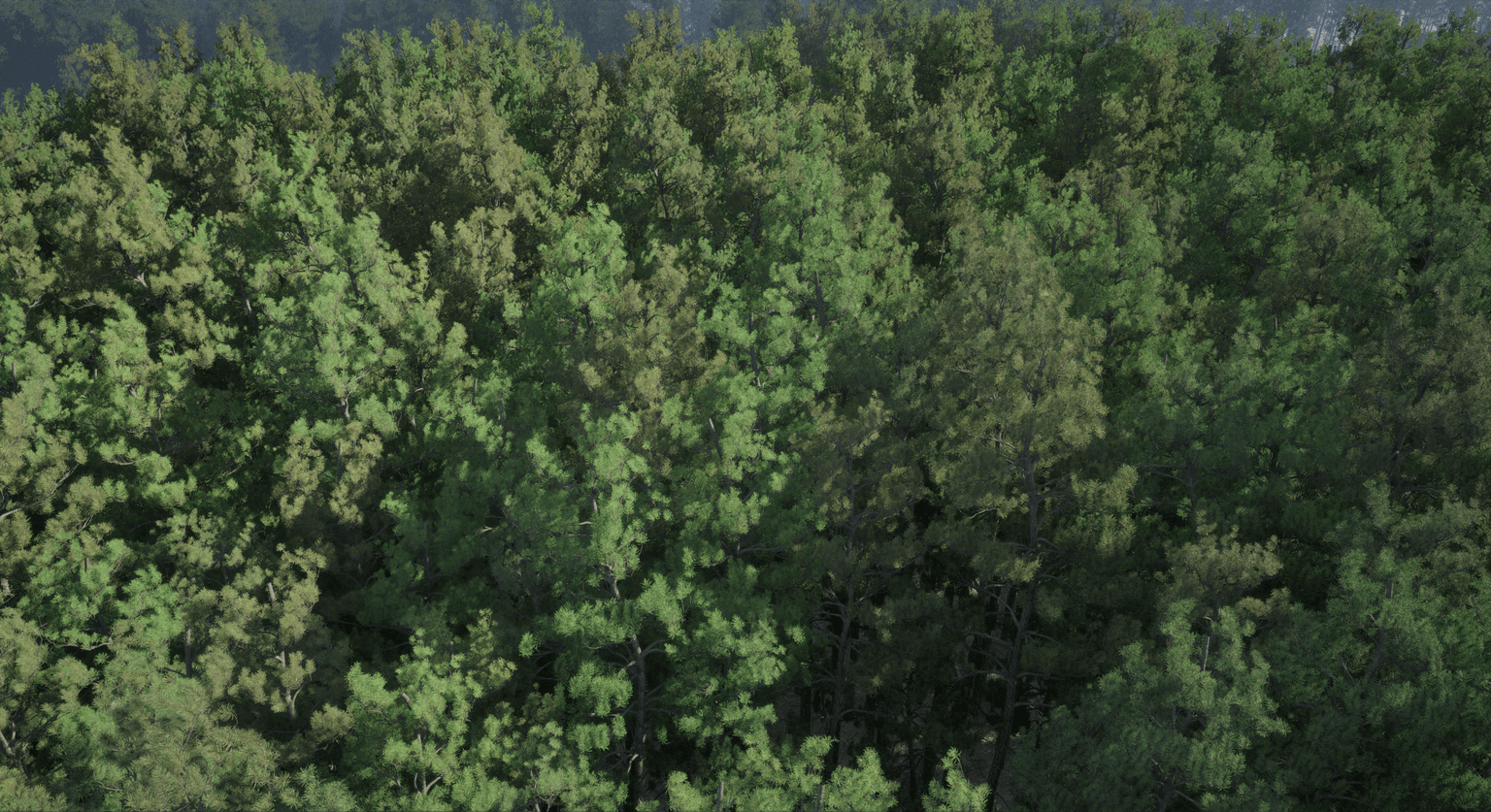 Large-scale forest generated with Natsura for Unreal Engine 5