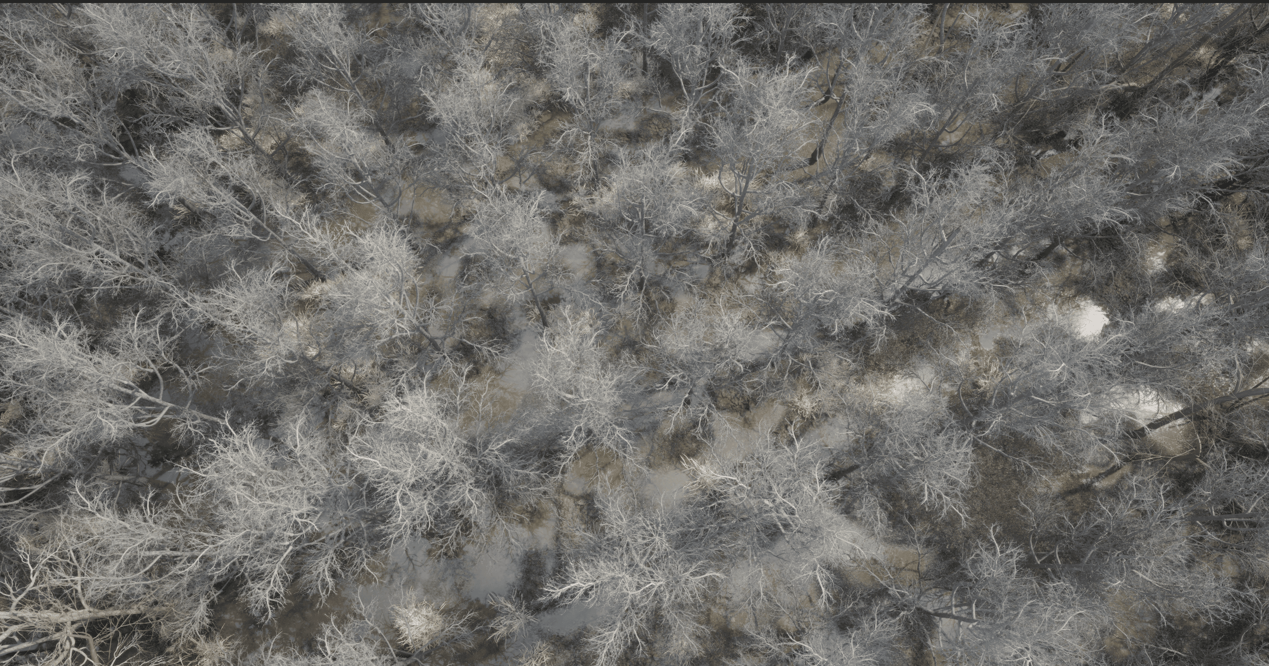 Coolant dense procedural forest canopy for real-time foliage