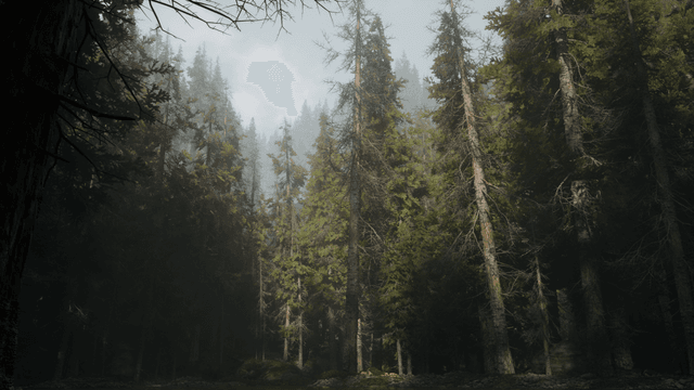 HAEX nordic forest environment built with Natsura