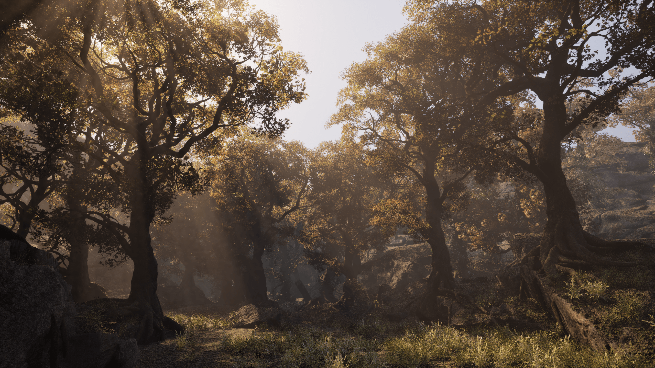 Project Elderwood Unreal Engine scene with Nanite foliage