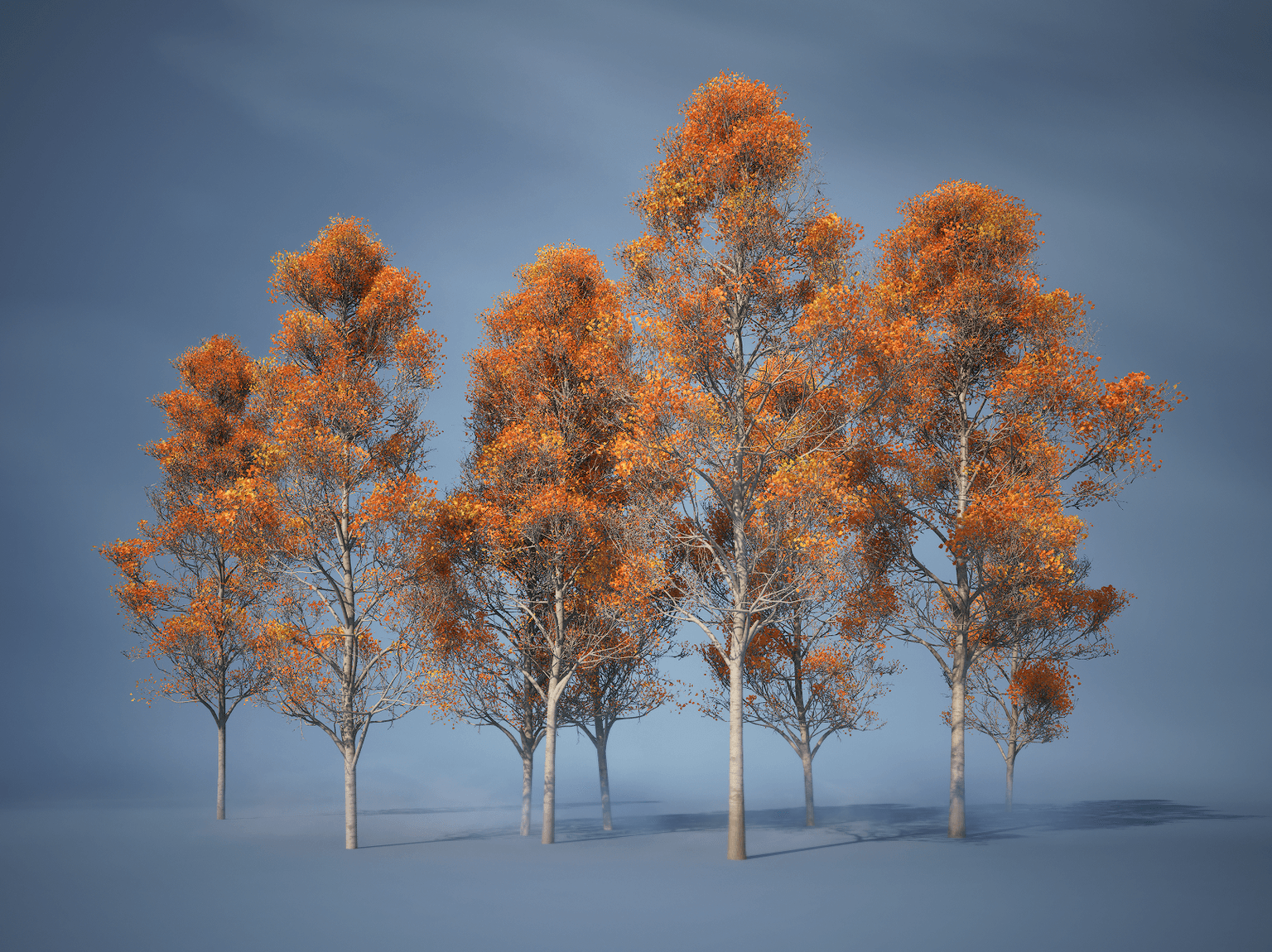 Procedural Houdini trees and plants by Tilman Mielsch