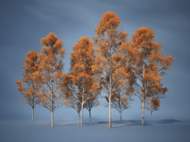 Procedural Houdini trees and plants by Tilman Mielsch