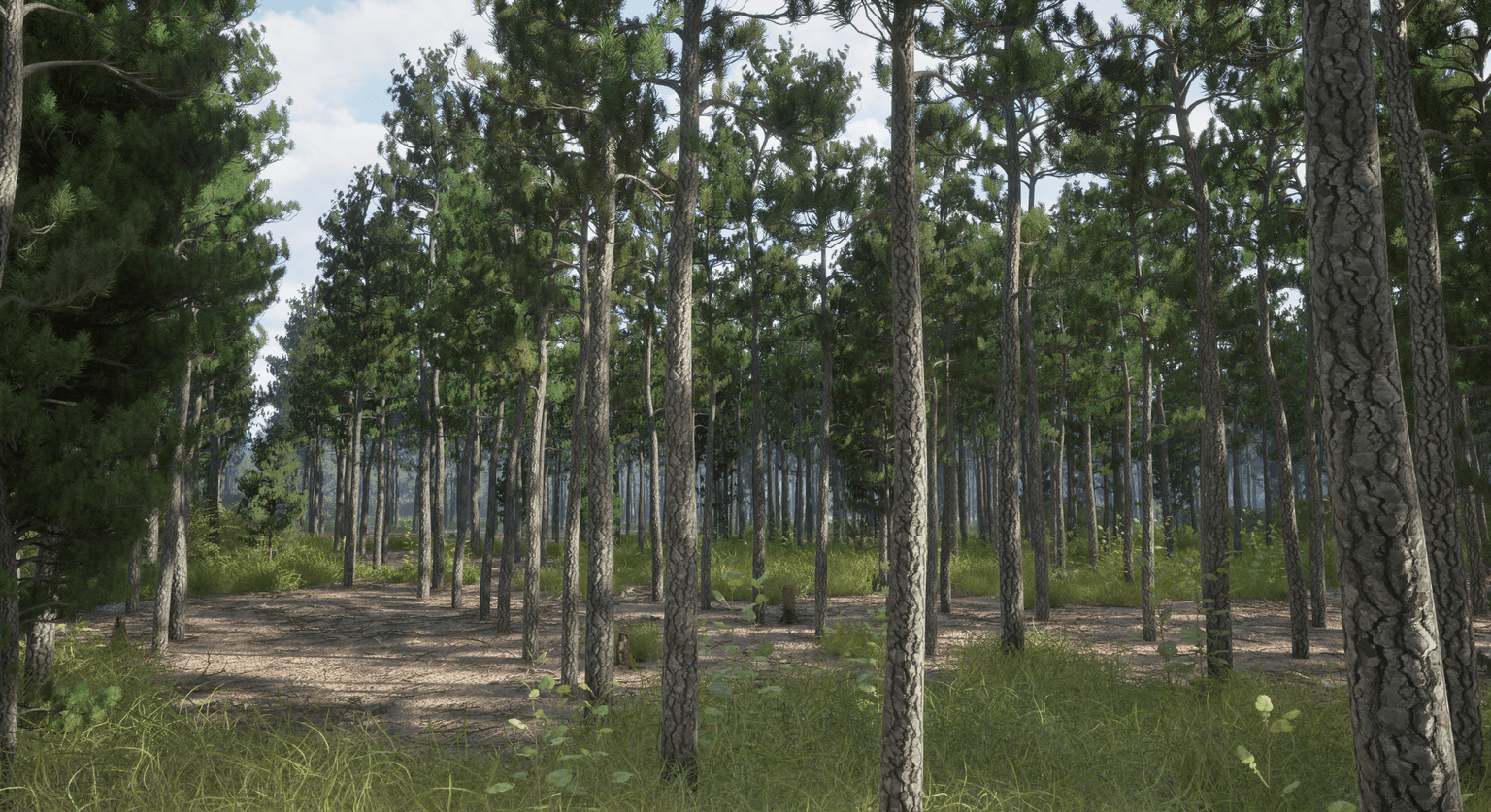 Forest scene rendered with Natsura procedural foliage tools