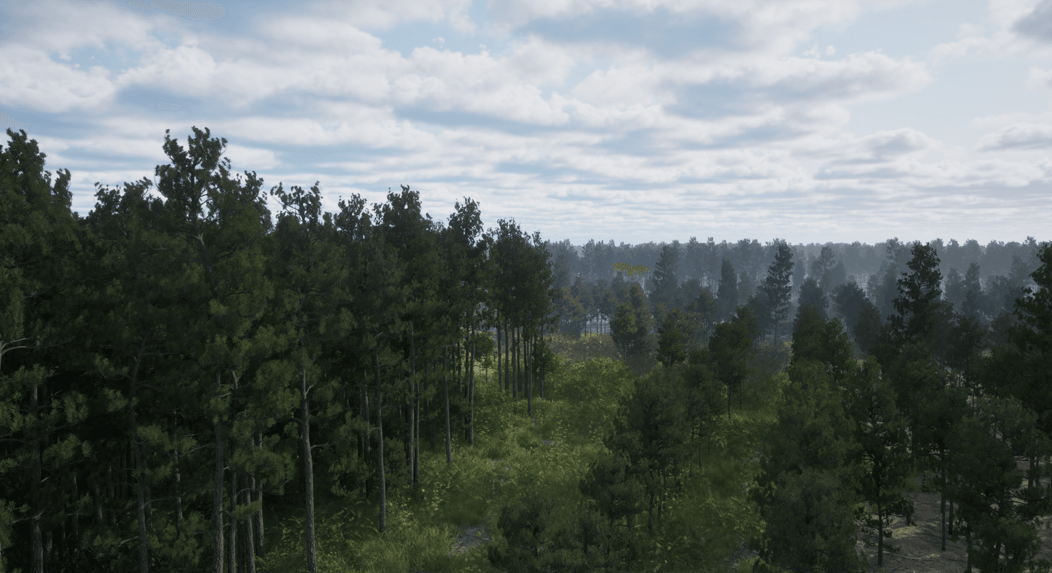 Coolant pine forest render for next-gen game and VFX environments