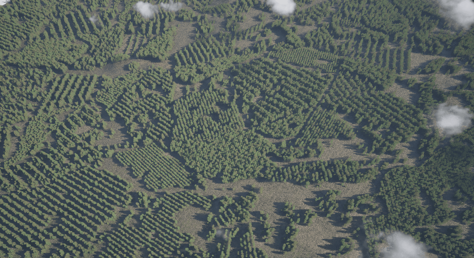 Large procedural forest connected to world-building and scattering tools