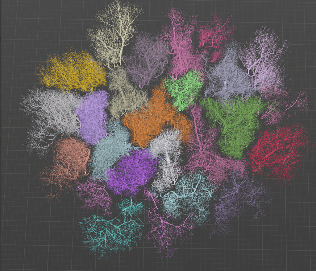 Tree canopy showing crown shyness pattern in a simulated forest