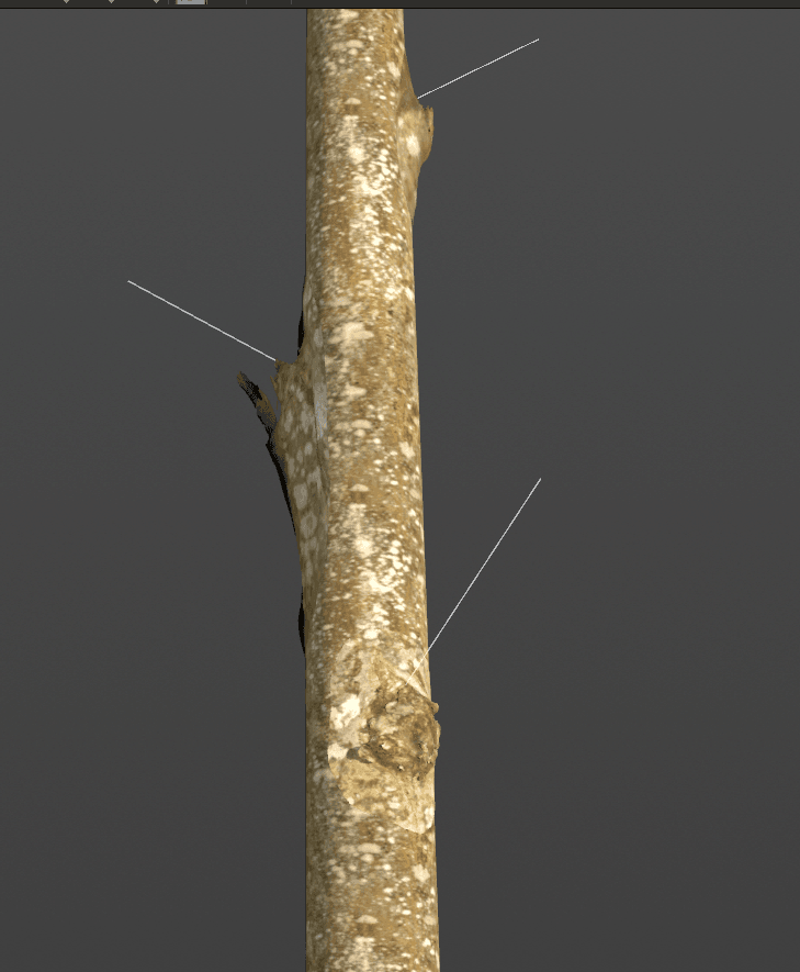 Foliage decals and decoration variations for environment art