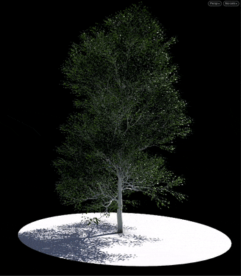 Houdini foliage clusters being deformed for tree and leaf variation