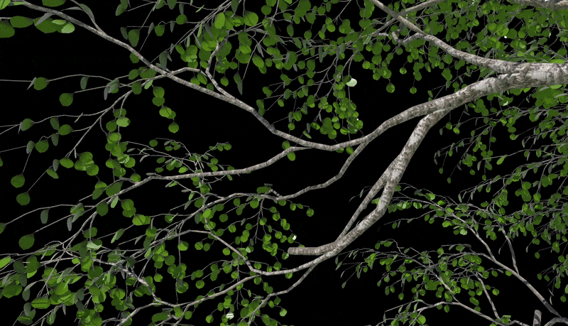Artist posing branches and updating tree mesh in real time
