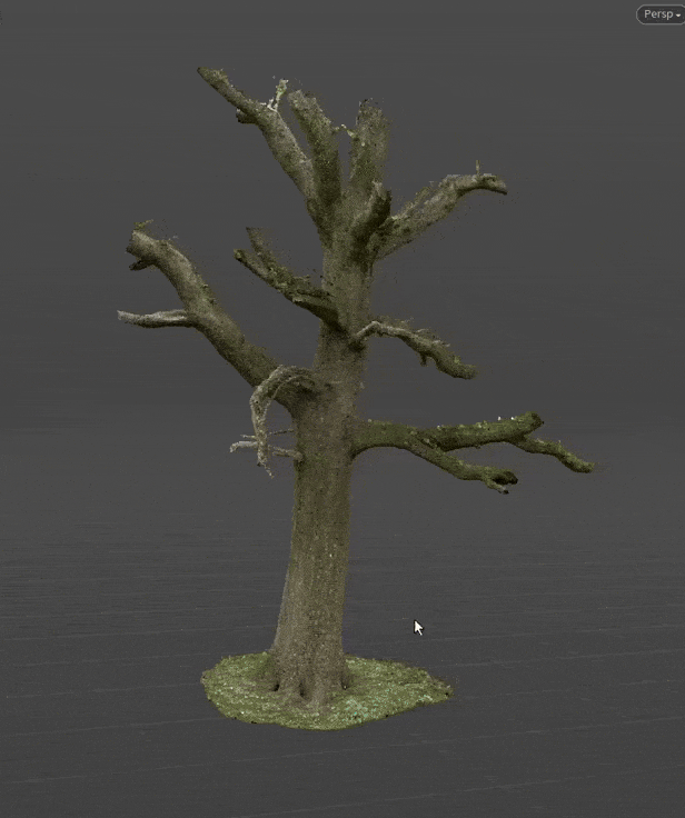 Rigging and previewing an extremely dense highpoly tree mesh