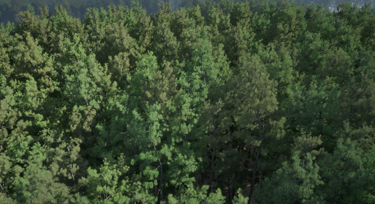 A Nanite pine forest in Unreal