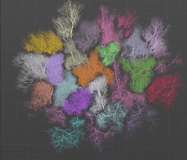 Tree canopy showing crown shyness pattern in a simulated forest