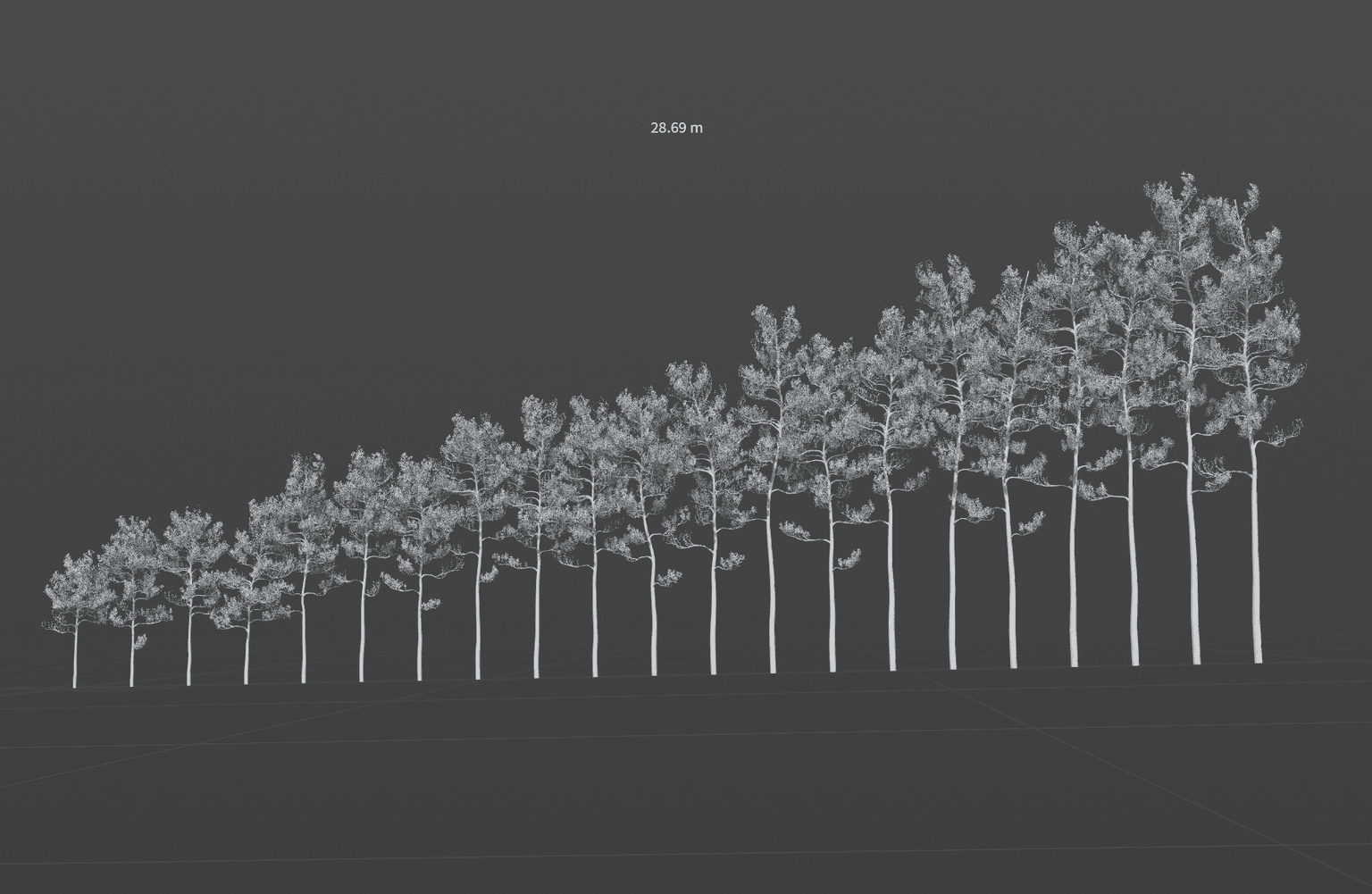 Pine forest showing species and age variation