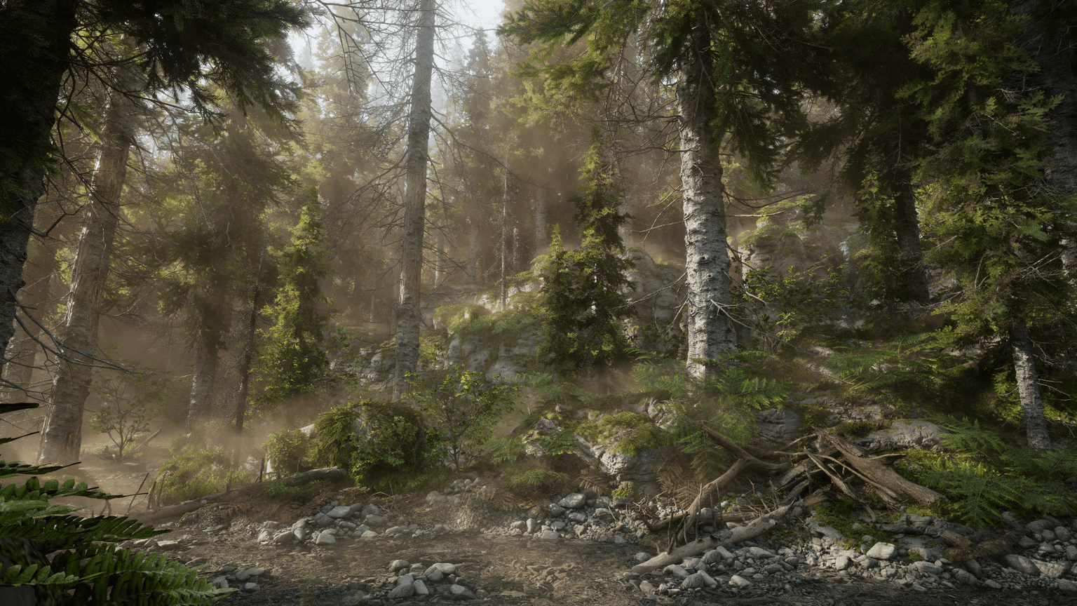 Nordic Forest