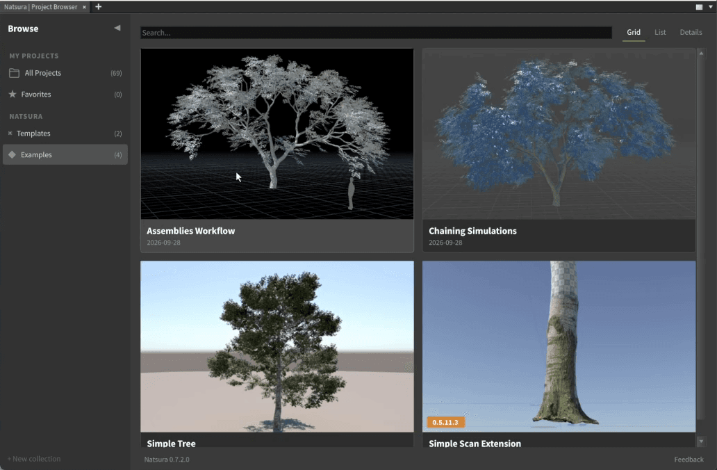 The Project Browser showing the examples